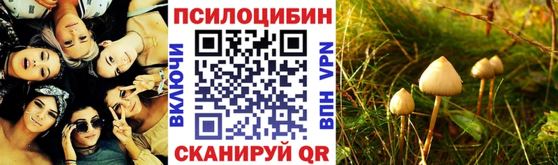 это Telegram  ОМГ ОМГ ссылки  Раменское  Псилоцибиновые грибы мухоморы 